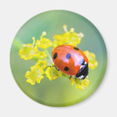 dame bovenaan magneet (Voorkant)