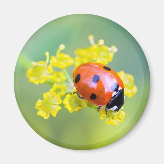 dame bovenaan magneet (Voorkant)