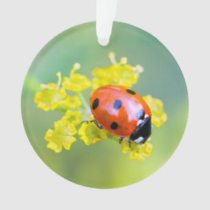 dame bovenaan ornament