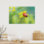 dame bovenaan poster (Keuken)