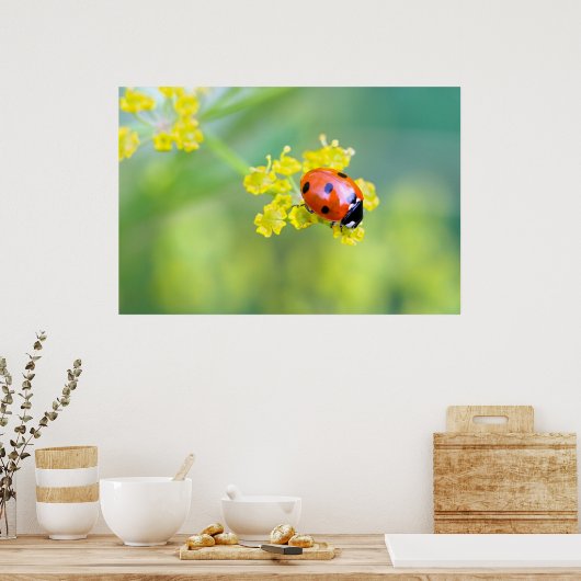 dame bovenaan poster (Keuken)