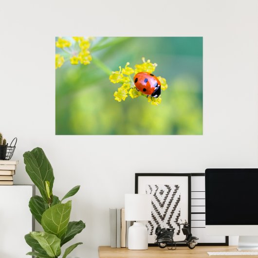 dame bovenaan poster (Thuiskantoor)