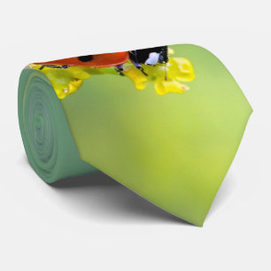 dame bovenaan stropdas