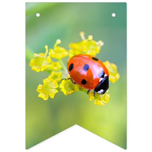 dame bovenaan vlaggetjes (Eerste vlag)