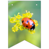 dame bovenaan vlaggetjes (Derde vlag)