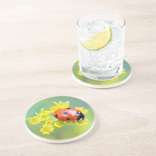 dame bovenaan zandsteen onderzetter