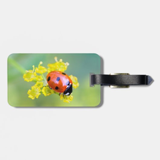 dame bovenop bagagelabel (Achterkant horizontaal)