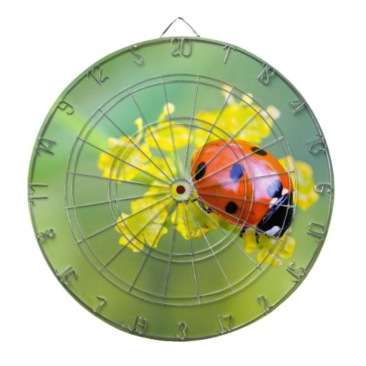 dame bovenop dartbord (Voorkant)