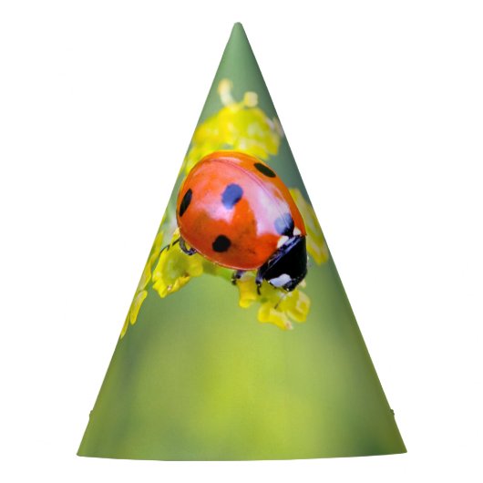 dame bovenop feesthoedjes (Voorkant)