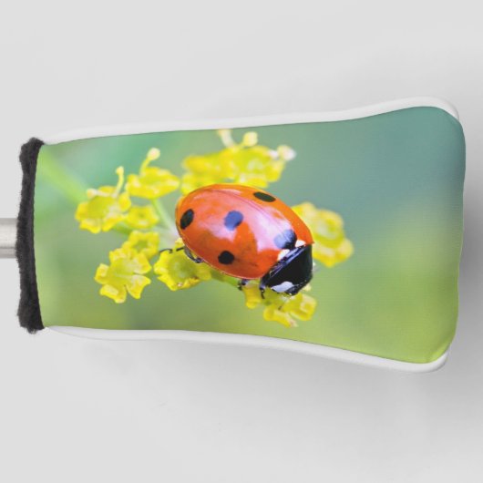 dame bovenop golfheadcover (Voorkant)