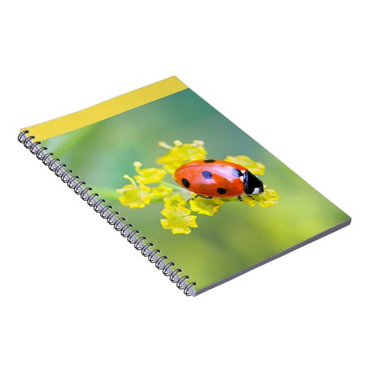 dame bovenop notitieboek (Rechterzijde)