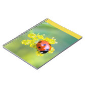 dame bovenop notitieboek (Linkerzijde)