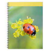 dame bovenop notitieboek (Voorkant)