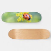 dame bovenop persoonlijk skateboard (Horizontaal)
