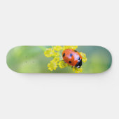 dame bovenop persoonlijk skateboard (Horizontaal)