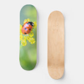 dame bovenop persoonlijk skateboard (Voorkant)