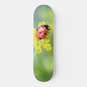 dame bovenop persoonlijk skateboard
