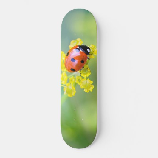 dame bovenop persoonlijk skateboard (Voorkant)
