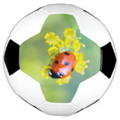 dame bovenop voetbal (Gedraaid)