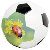 dame bovenop voetbal (Drie kwart)