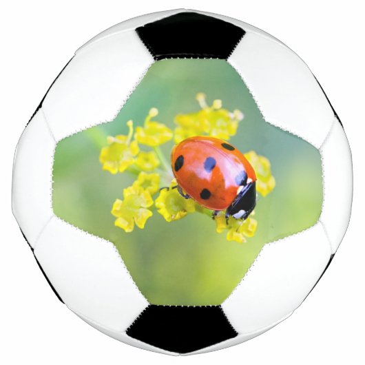 dame bovenop voetbal (Voorkant)