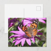 Dame Briefkaart (Voorkant / Achterkant)
