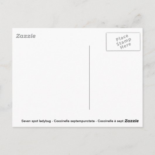 Dame bug in madeliefje briefkaart (Achterkant)