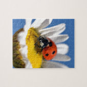 Dame bug in madeliefje legpuzzel (Horizontaal)