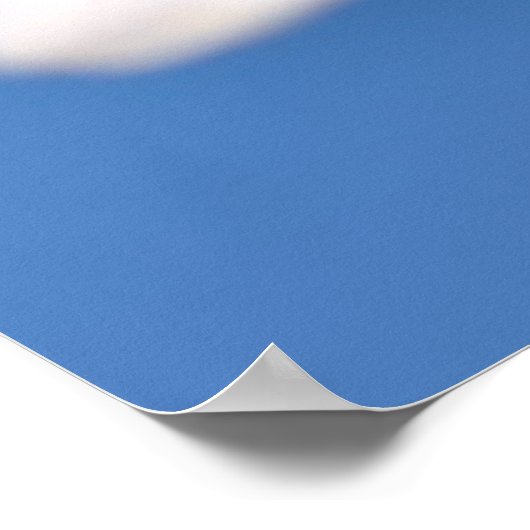 Dame bug in madeliefje poster (Hoek)