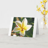 Dame Bug met wenskaart Plumeria Kaart (Gele Bloem)