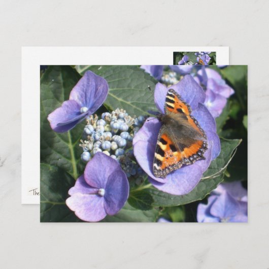 Dame Butterfly 1 Briefkaart (Voorkant / Achterkant)