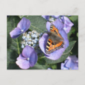 Dame Butterfly 1 Briefkaart (Voorkant)
