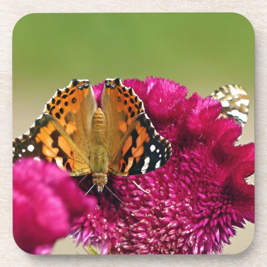 Dame Butterfly Bier Onderzetter (Voorkant)