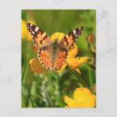 Dame Butterfly Briefkaart (Voorkant)