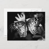 Dame Butterfly - Briefkaart (Voorkant / Achterkant)