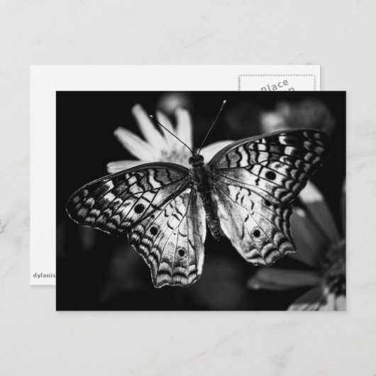 Dame Butterfly - Briefkaart (Voorkant / Achterkant)