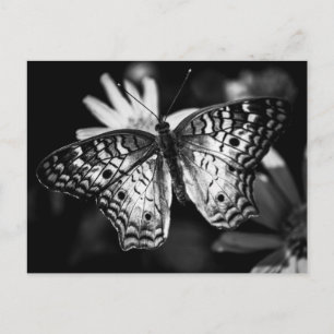 Dame Butterfly - Briefkaart