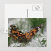Dame Butterfly Briefkaart (Voorkant / Achterkant)