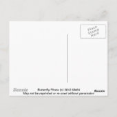 Dame Butterfly Briefkaart (Achterkant)