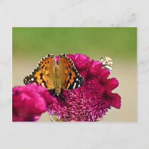 Dame Butterfly Briefkaart