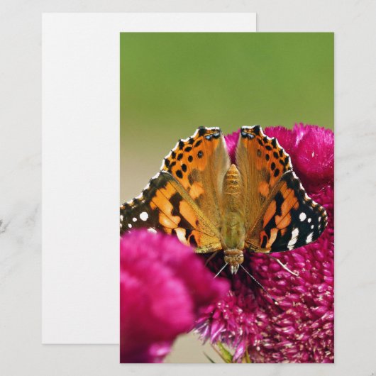 Dame Butterfly Briefpapier (Voorkant / Achterkant)