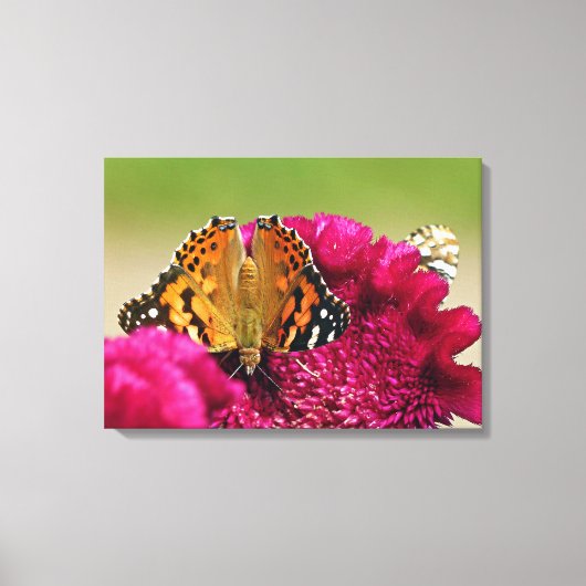 Dame Butterfly Canvas Afdruk (Voorkant)