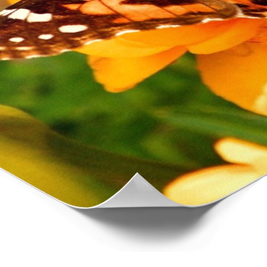Dame Butterfly Foto Poster (Hoek)
