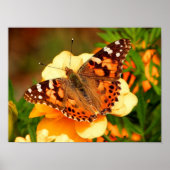 Dame Butterfly Foto Poster (Voorkant)