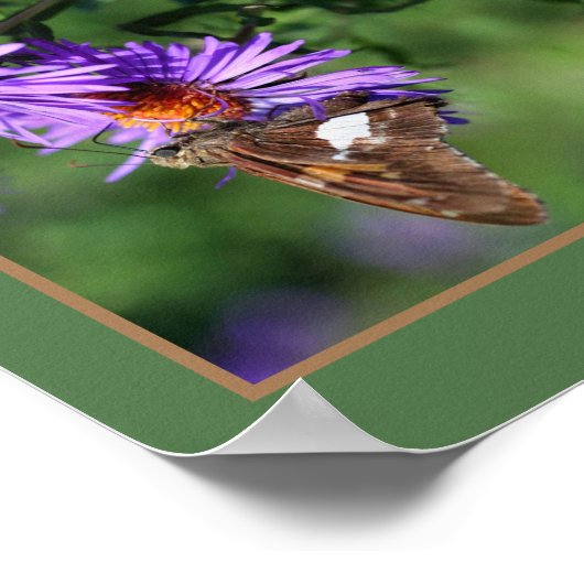 Dame Butterfly, gebilderd op Abstract rooster Poster (Hoek)