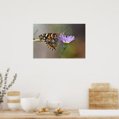 Dame Butterfly, gebilderd op Poster Aster II (Keuken)