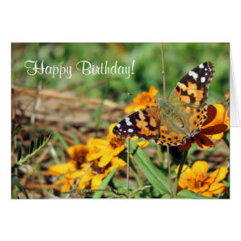 Dame Butterfly, gebilderd op Zinnia Birthday Kaart