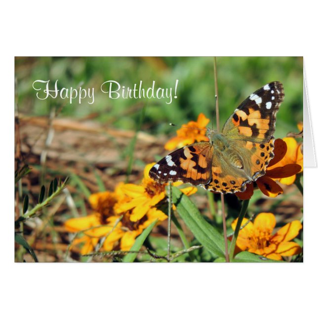 Dame Butterfly, gebilderd op Zinnia Birthday Kaart (Voorkant Horizontaal)