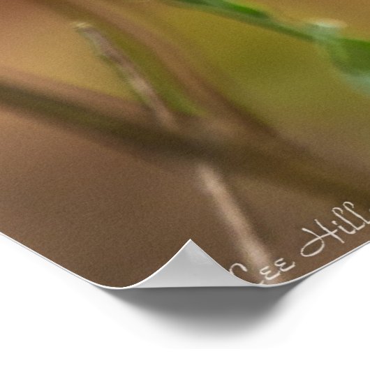 Dame Butterfly, geverfd op het Poster van Aster (Hoek)