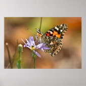 Dame Butterfly, geverfd op het Poster van Aster (Voorkant)